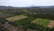 Stilos Kreta, Stilos: Charmantes ländliches Grundstück mit Bergblick zu verkaufen Grundstück kaufen